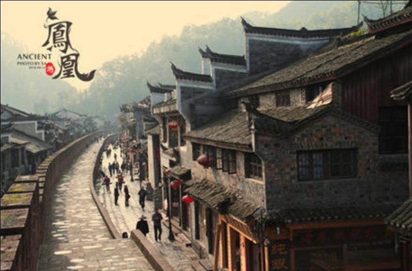 专业广西的特产都有什么?网站-高效有问必答平台